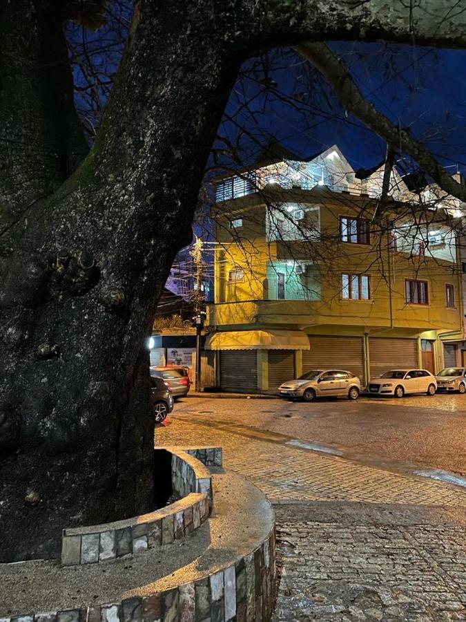 Maison Centre Shkoder Bagian luar foto